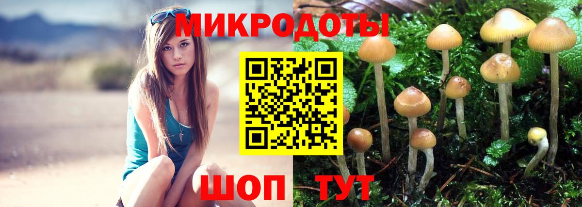 Галлюциногенные грибы мицелий  Вход с VPN  Ялта 